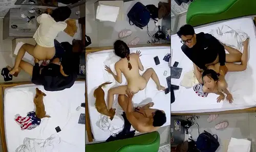 Em nữ sinh mang theo cả chó đi học nhóm với bạn trong nhà nghỉ